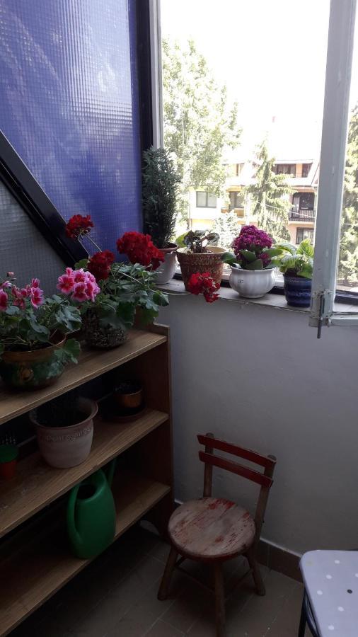 Annika Apartman Eger Esterno foto